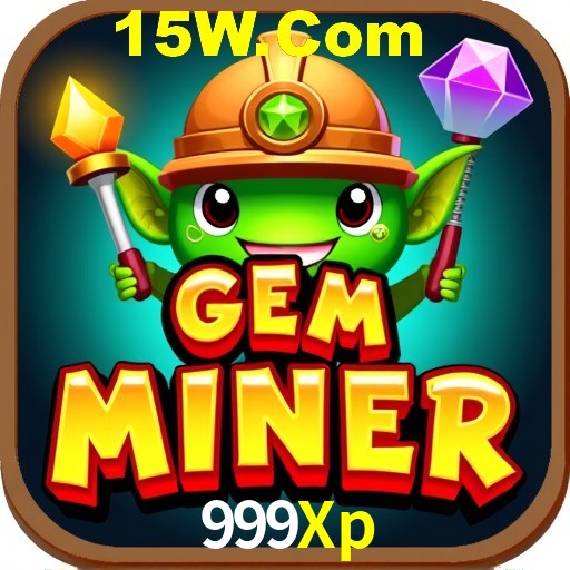 Interface Premium 999Xp