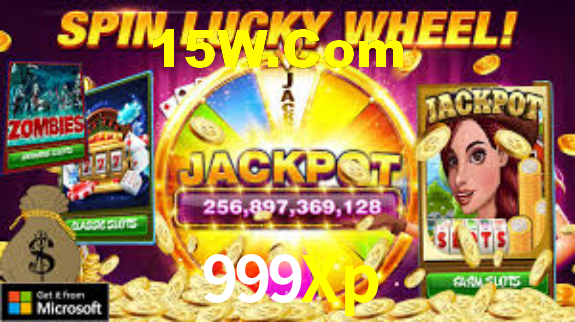 Premium Interface 999Xp